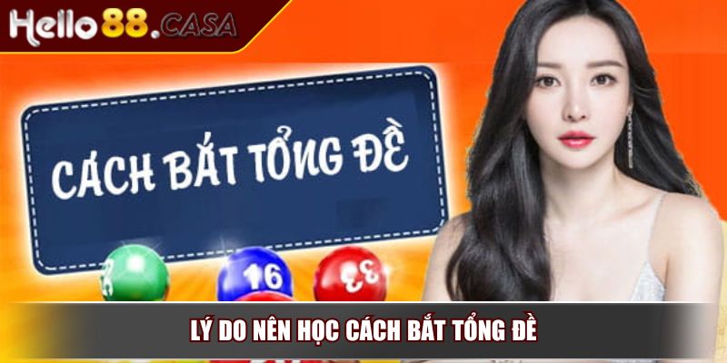 Cách Bắt Tổng Đề – Bí Quyết Quan Trọng Giúp Tăng Tỷ Lệ Trúng 2 Lý do nên học cách bắt tổng đề